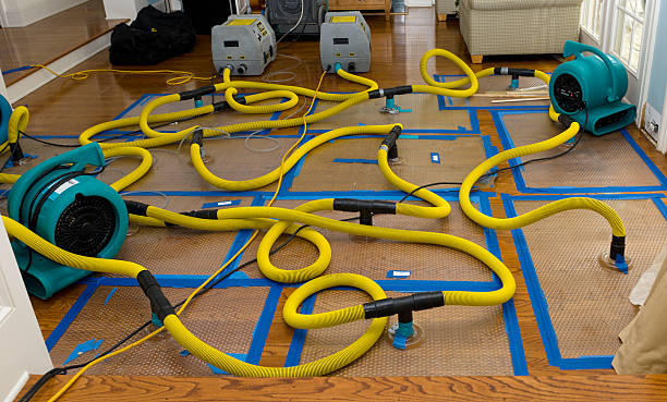 Professional Crawl Space Water Removal technician working in Abbot, ME